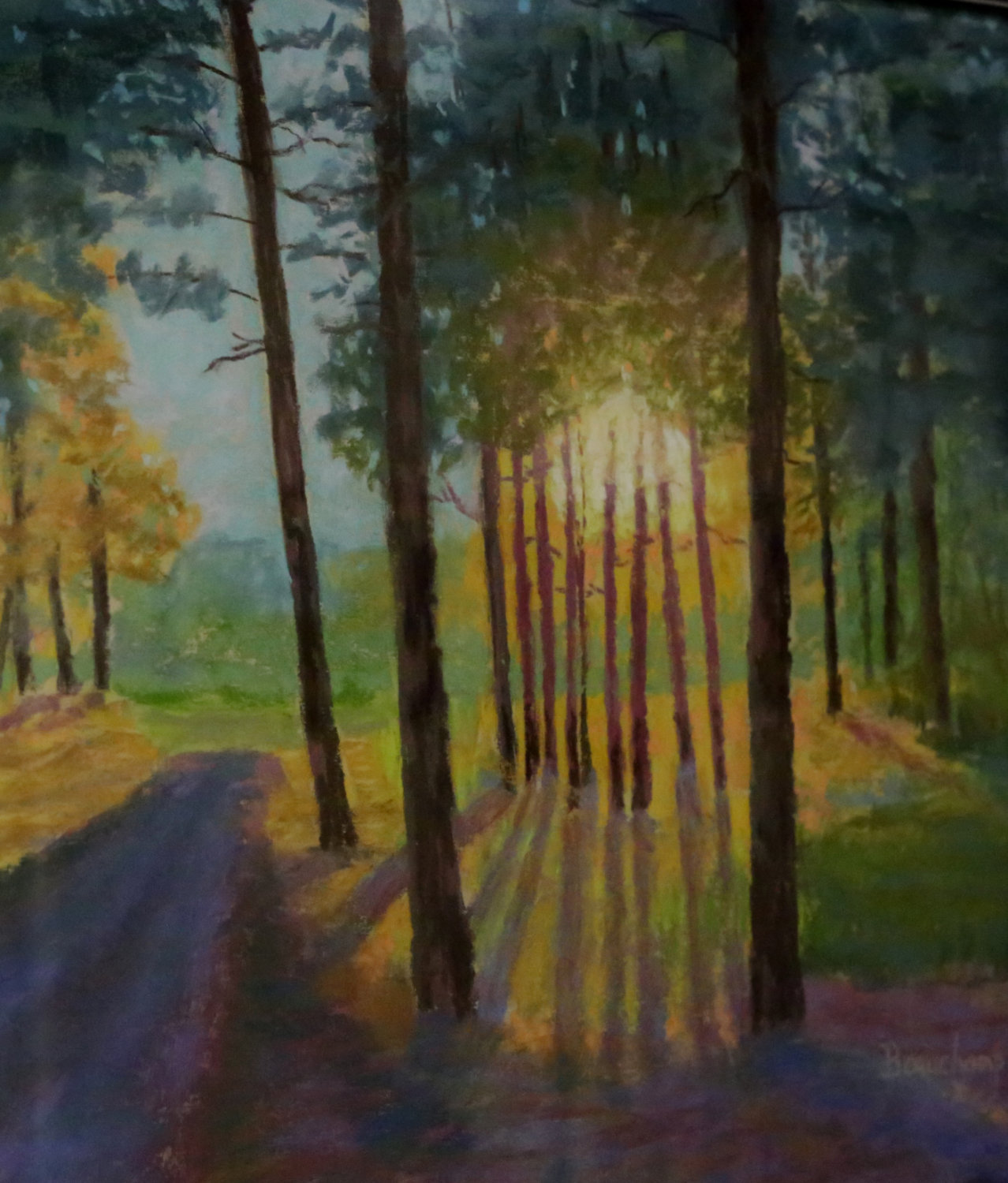 Sunlight through the Pines by Nancy Beauchamp